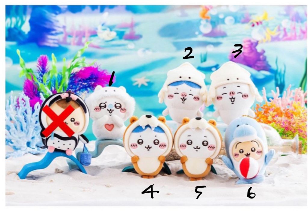 IMG_1221-1726717392112