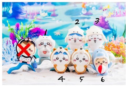 IMG_1221-1726717392112