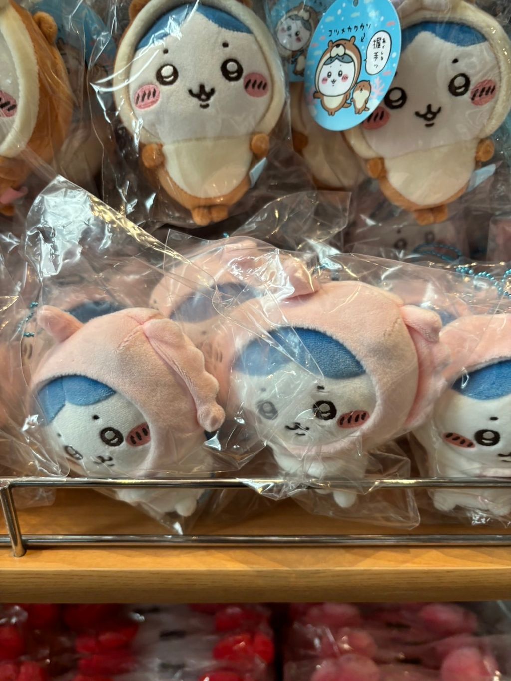 IMG_3902-1726760896151