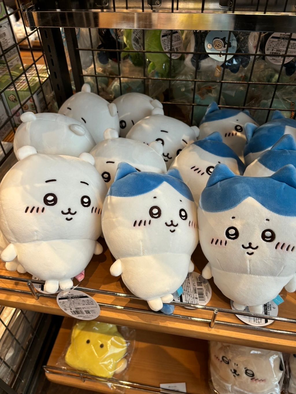 IMG_3956-1726798022249