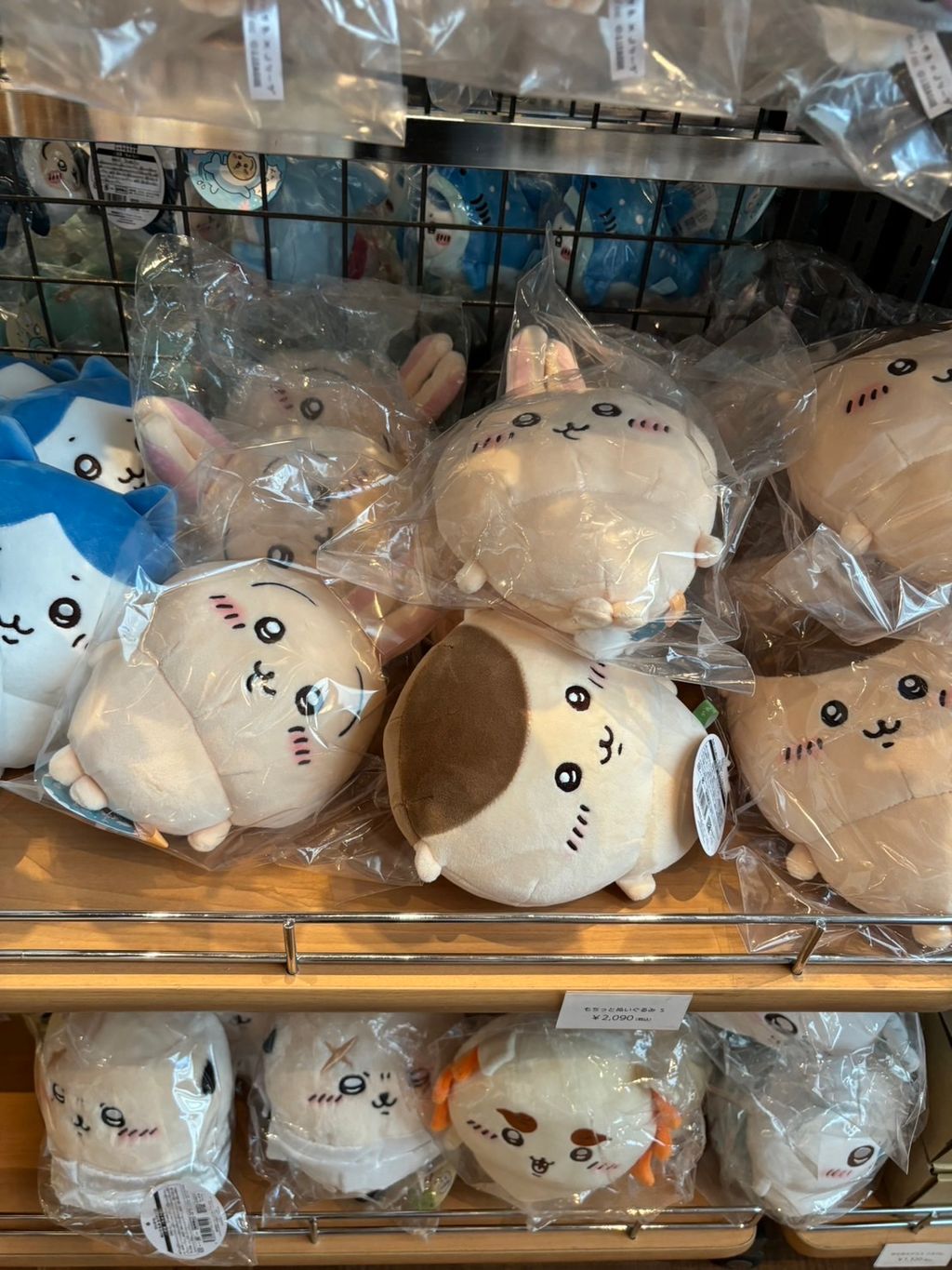 IMG_3957-1726798022261