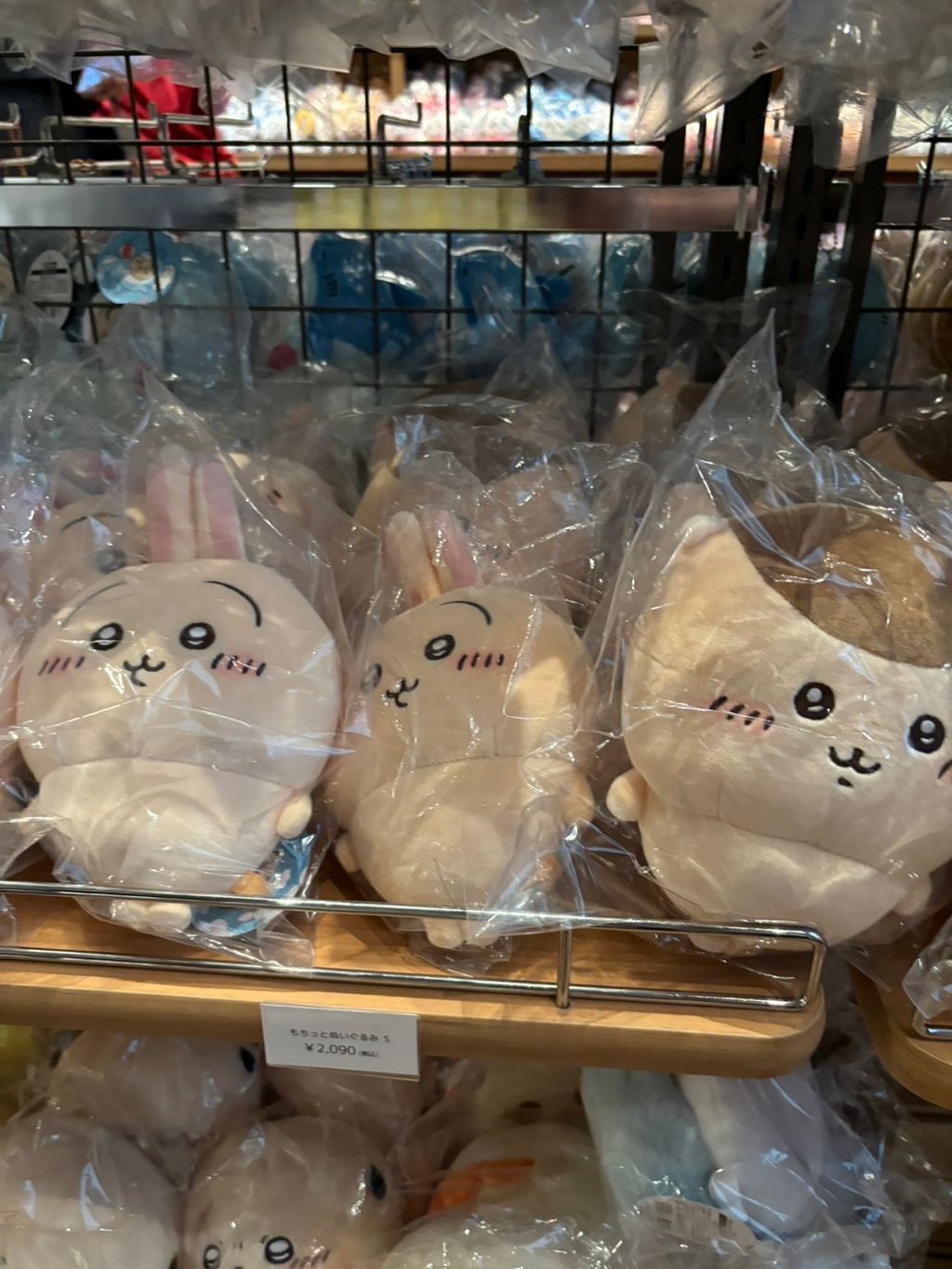 IMG_3955-1726798022254