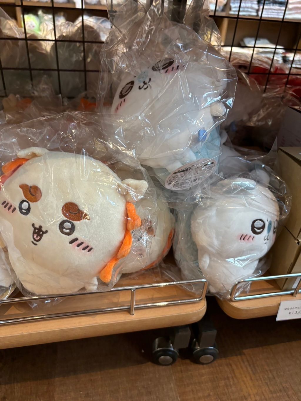 IMG_3958-1726798022267