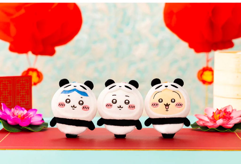 IMG_5831-1733989440435