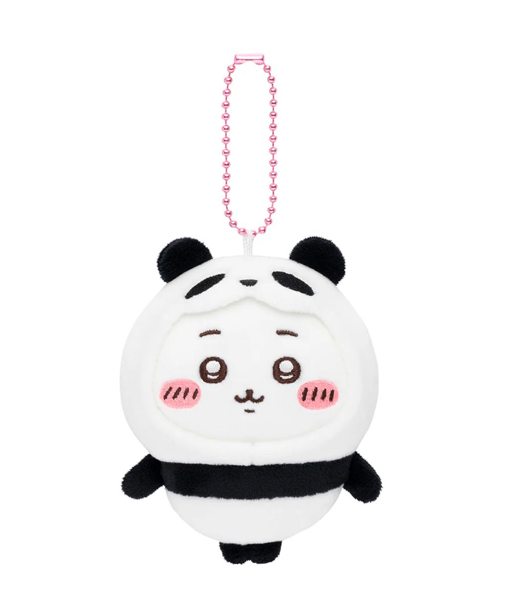 IMG_5832-1733989440435