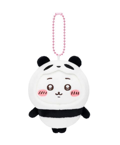 IMG_5832-1733989440435