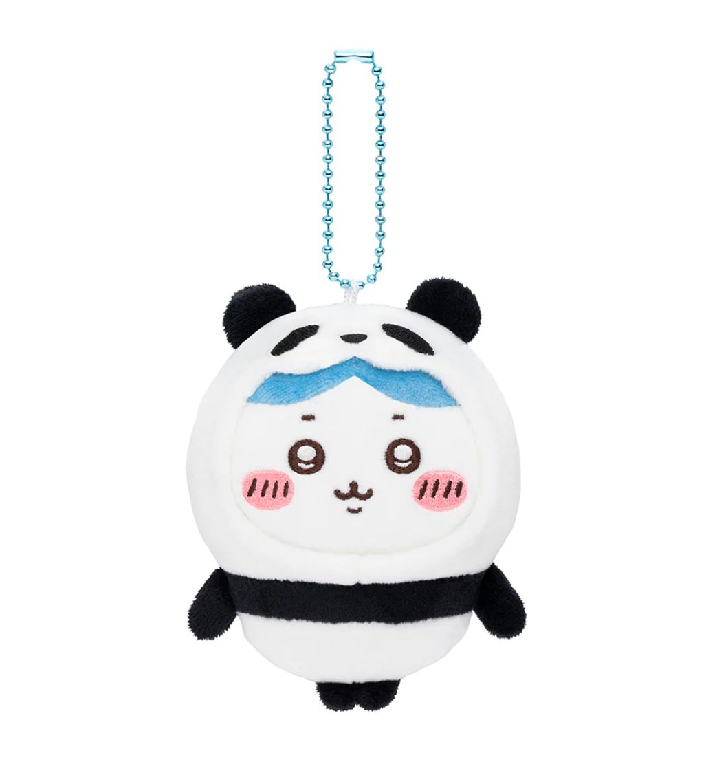 IMG_5833-1733989440432