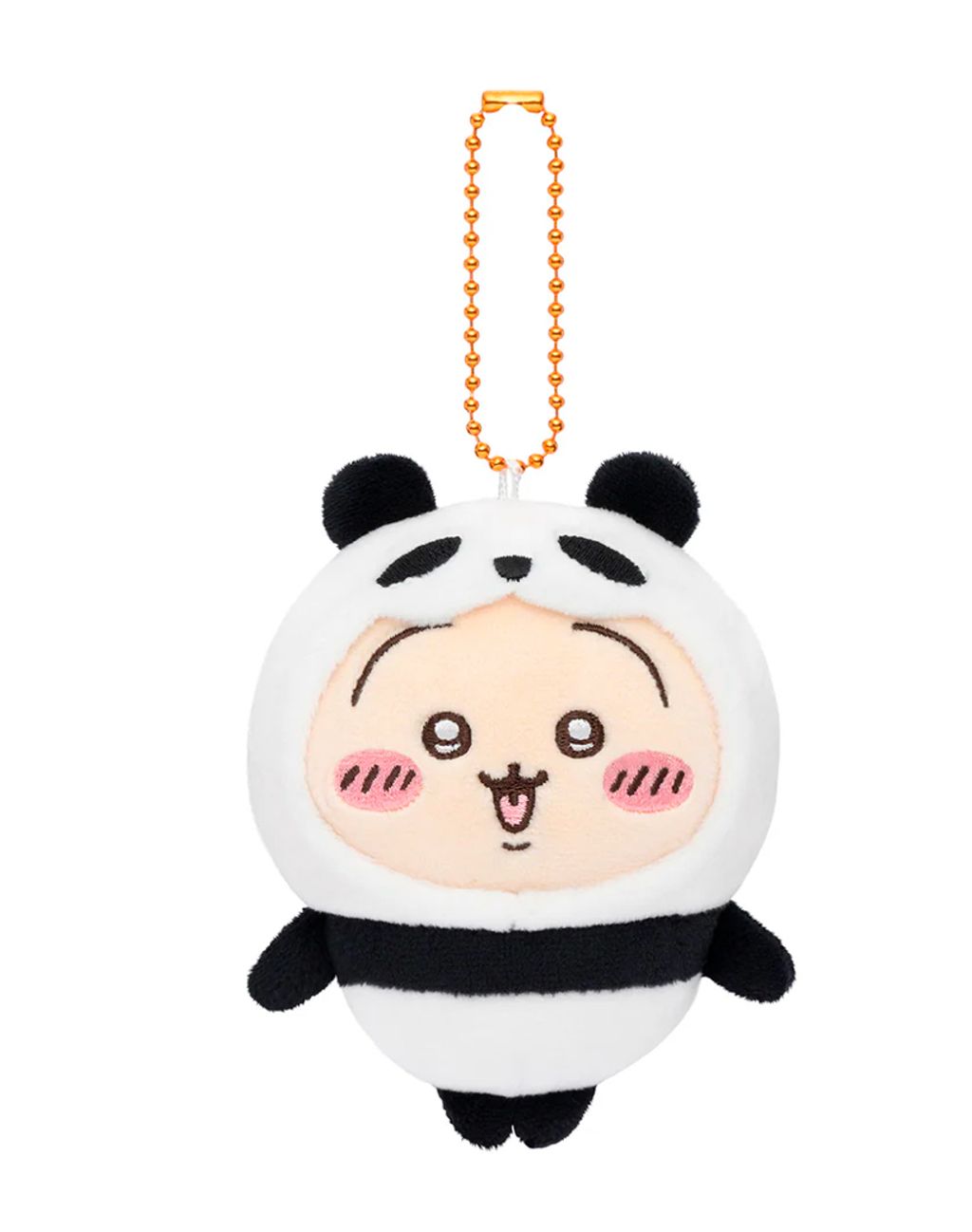 IMG_5834-1733989440427