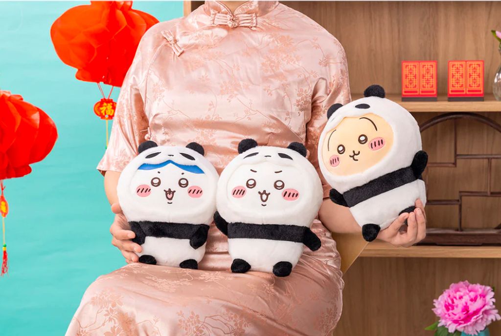 IMG_5835-1733990746267