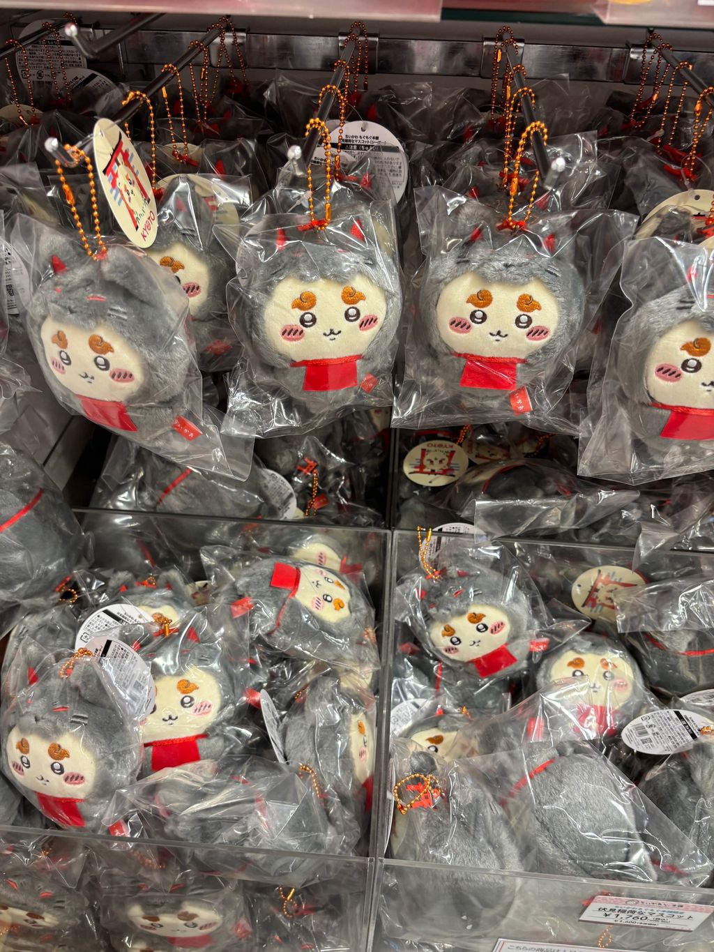 image_99083D15-8516-451D-AABF-613F1DA1E509_1746763567