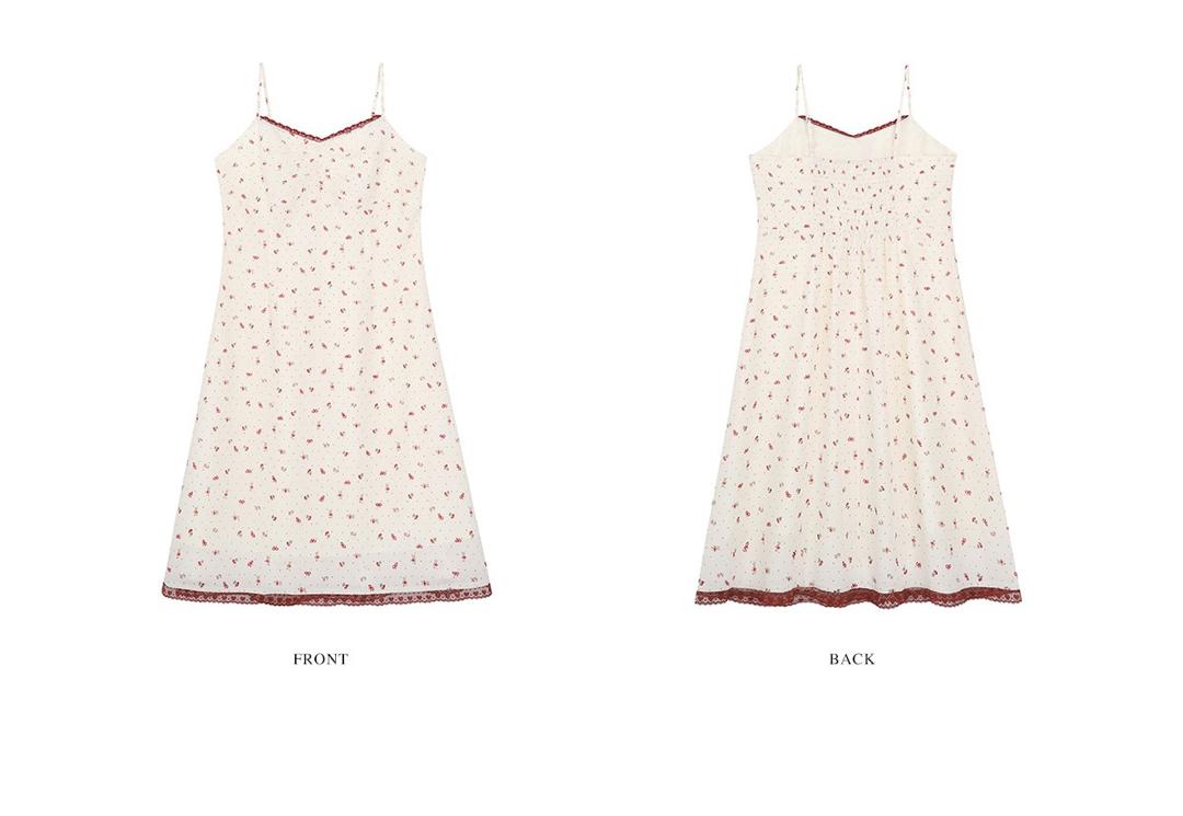 WhatsApp Image 2026-01-25 at 8.09.53 PM (2)