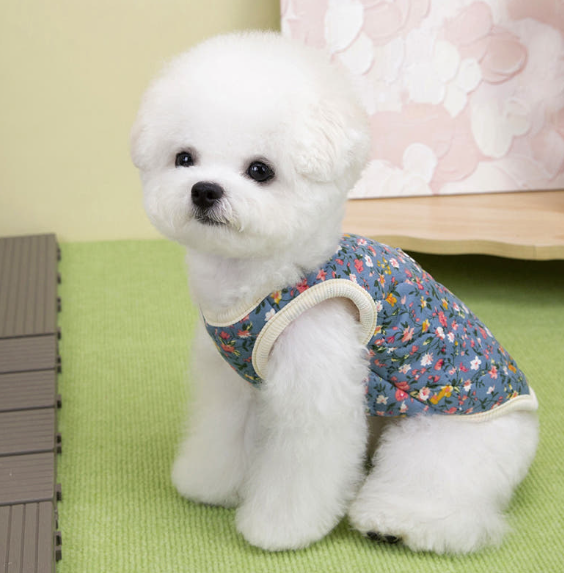 屏幕截图 2026-02-06 182637