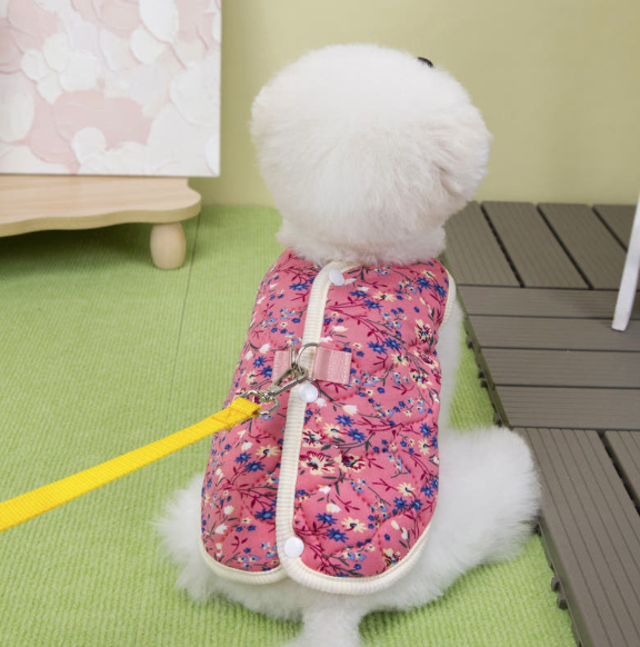 屏幕截图 2026-02-06 182625