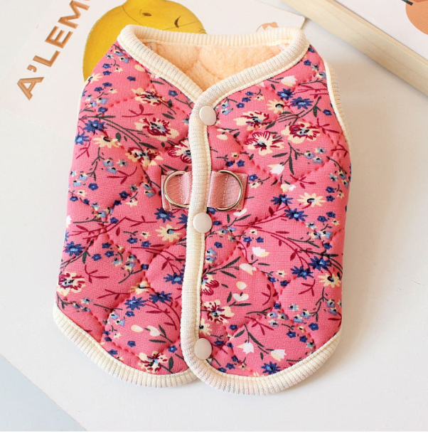 屏幕截图 2026-02-06 182657