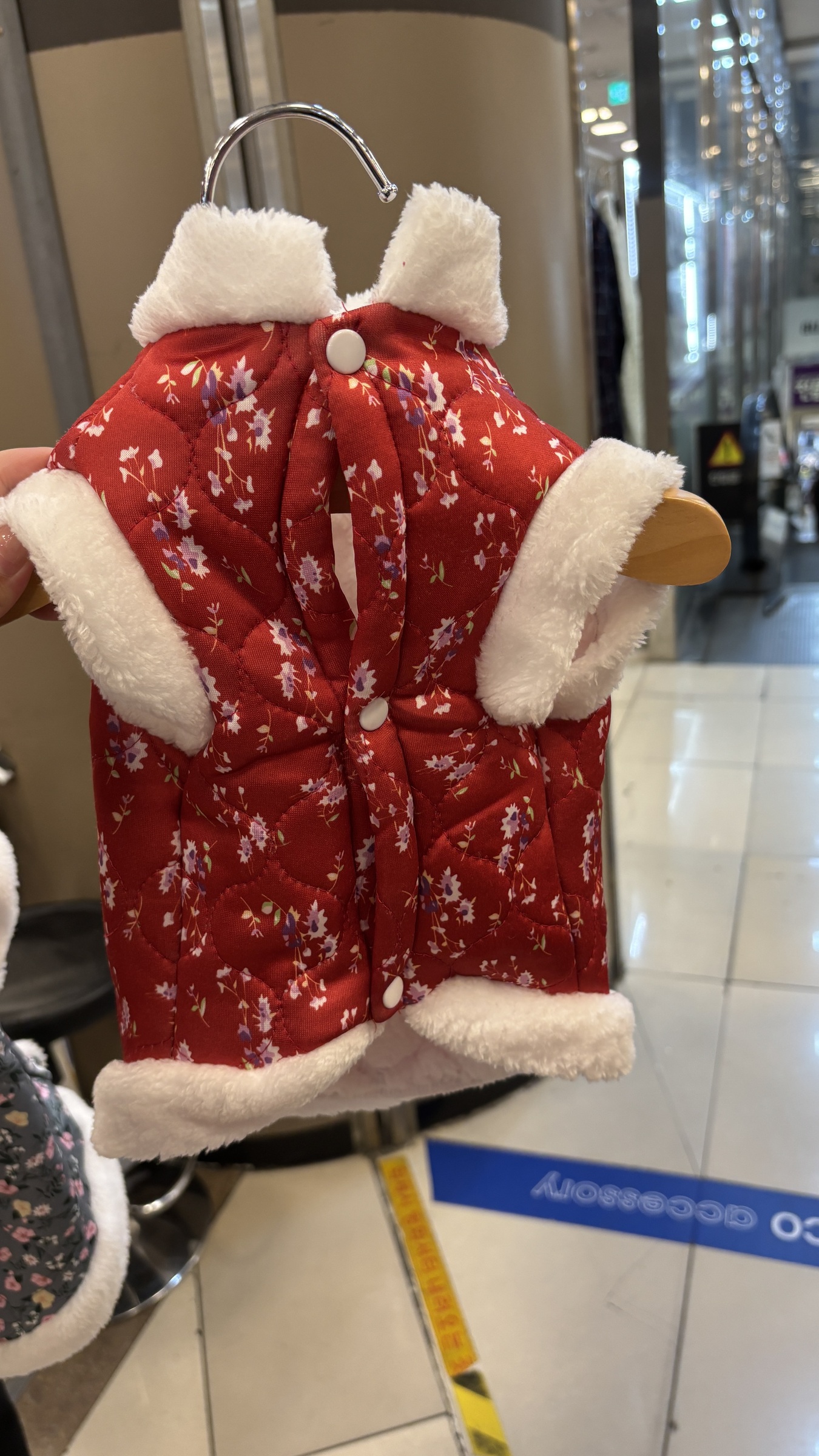 image_EFFA432F-97D0-4587-BD80-49853C03B2FD_1770374207