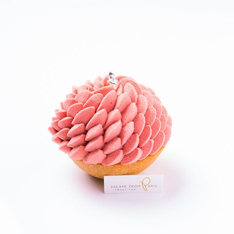 粉紅絲絨狂想曲