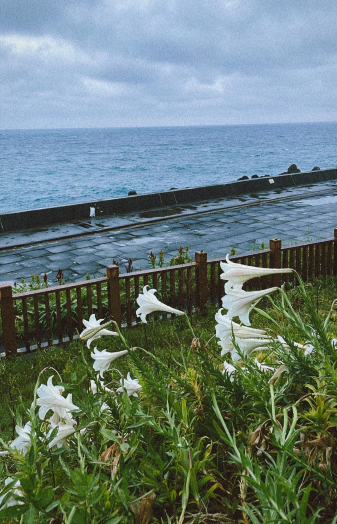 2962C6FC-B8A7-49FB-AF80-1A25C88DD1D9