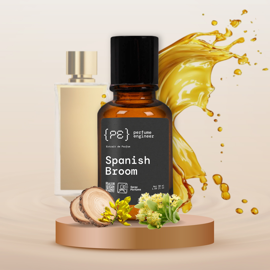 spanish-broom-01