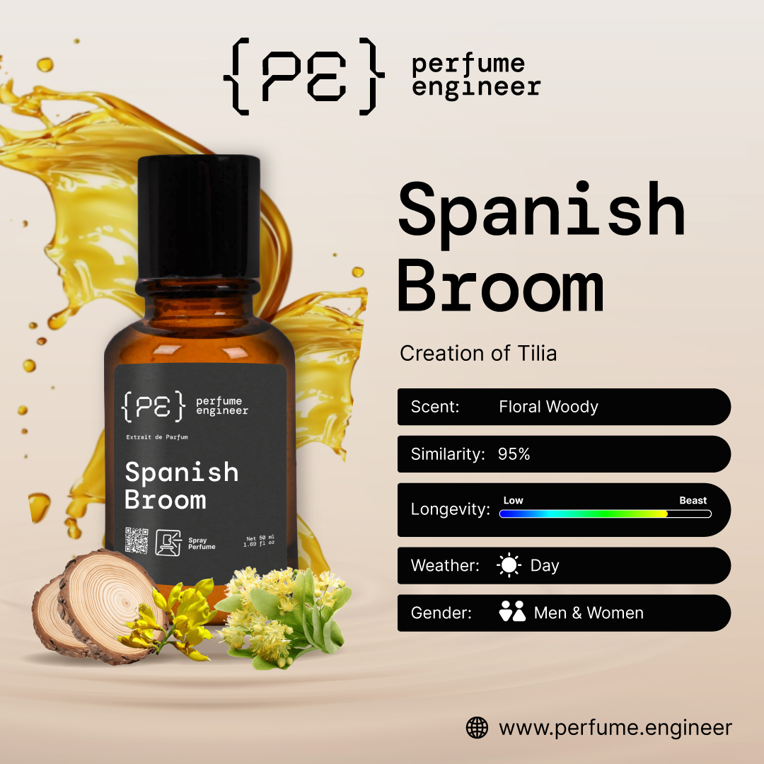 spanish-broom-02
