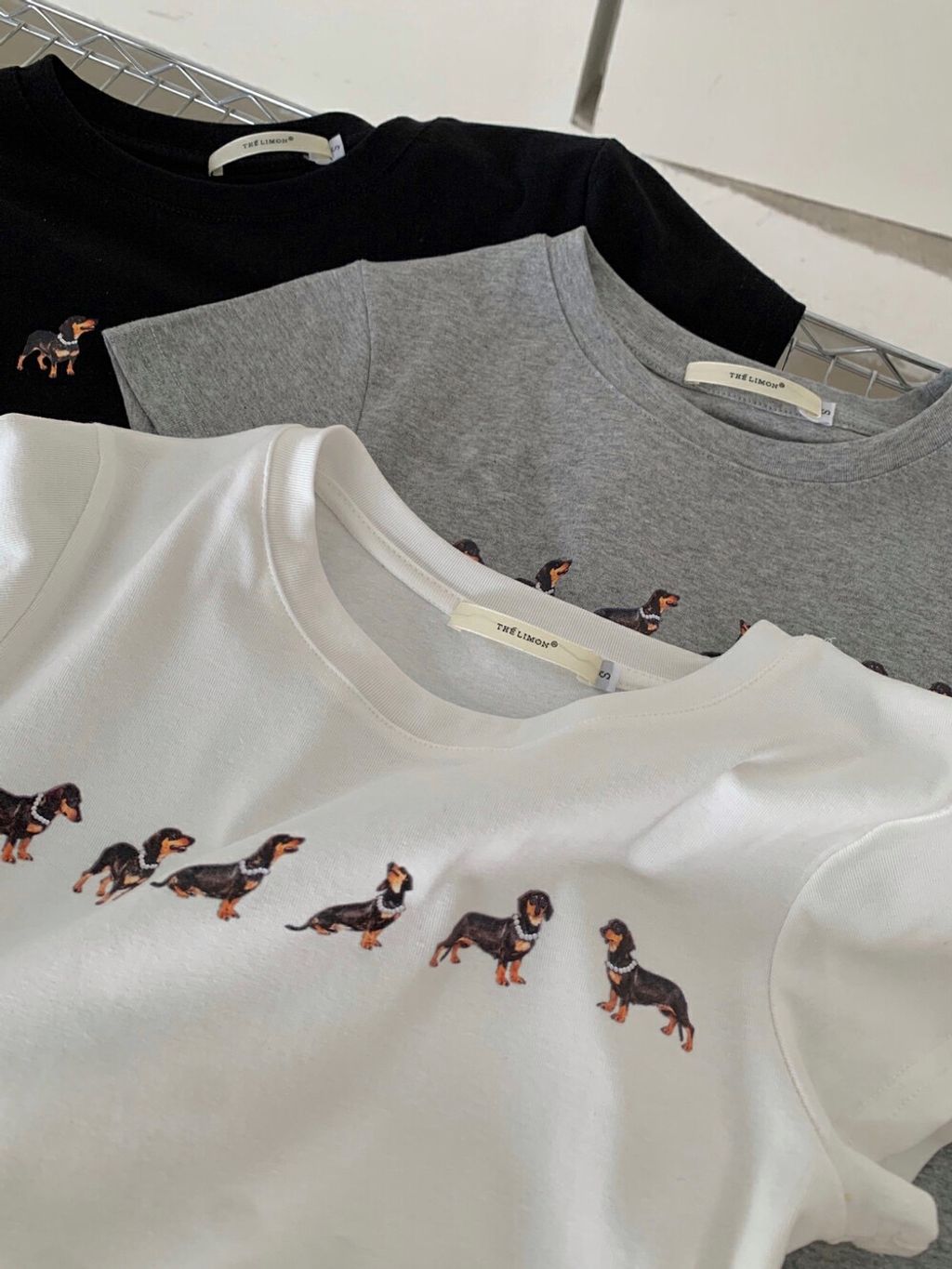 image_D55E2754-765E-43CF-B43E-5D64D2245BB6_1746451036