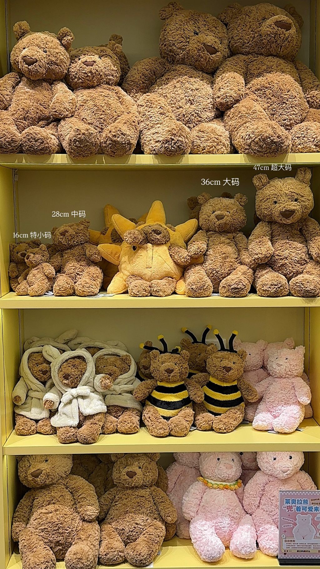 image_C86FC8FC-4102-4387-AC8E-8B94BC6BE452_1752181956