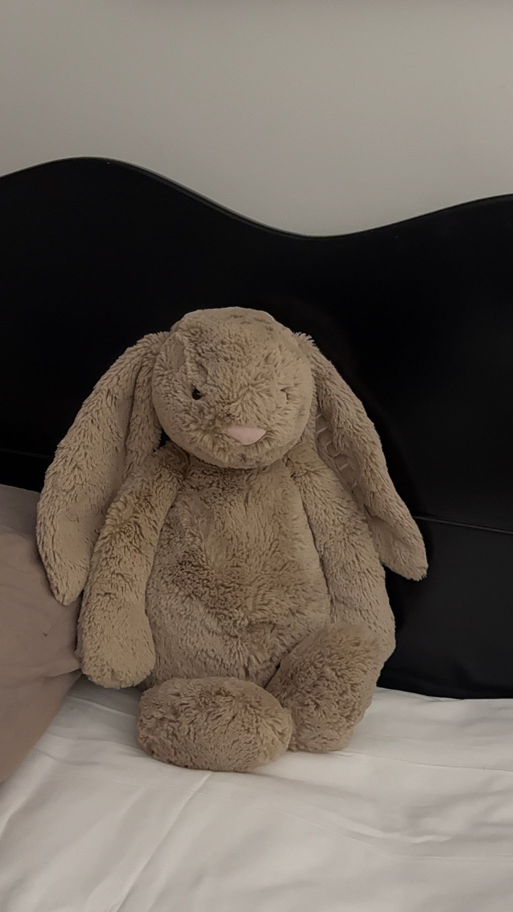 image_5F0376F7-E6CD-4B53-A1BC-7A84432EA5CD_1752255423