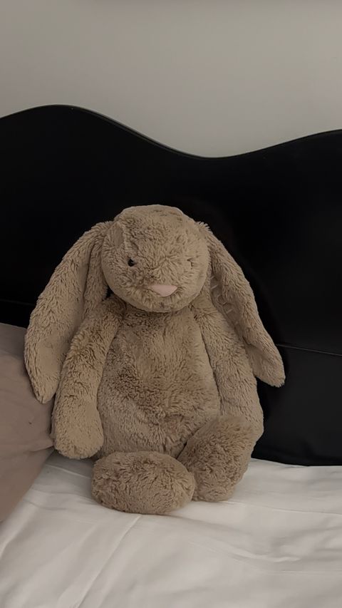 image_5F0376F7-E6CD-4B53-A1BC-7A84432EA5CD_1752255423