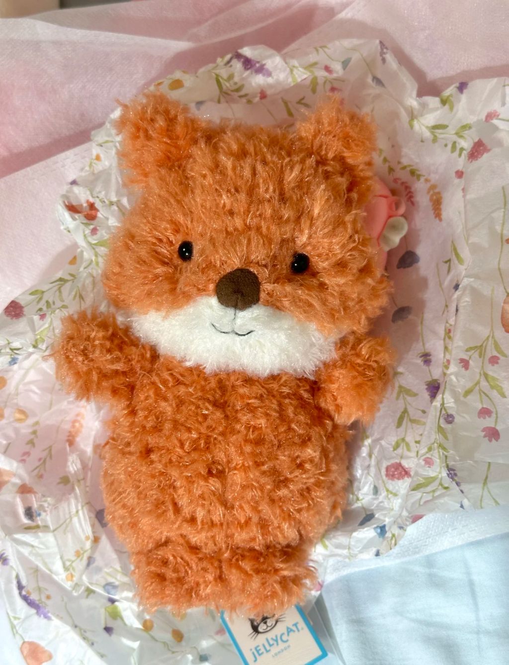 image_F81FCCF8-0A6B-4043-9394-2CA8410B4C1B_1752327905