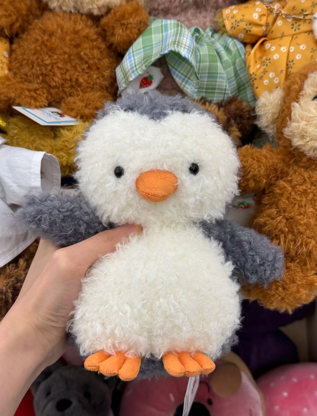 image_AF76A14D-C1A7-4527-A568-085B543B845A_1752328110