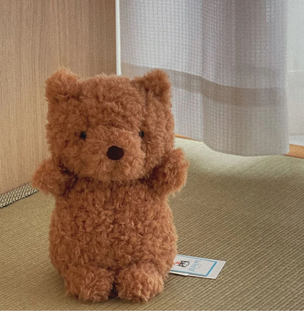 image_5FD74AAB-BA9C-48BD-8E4B-3A51268297B5_1752328422