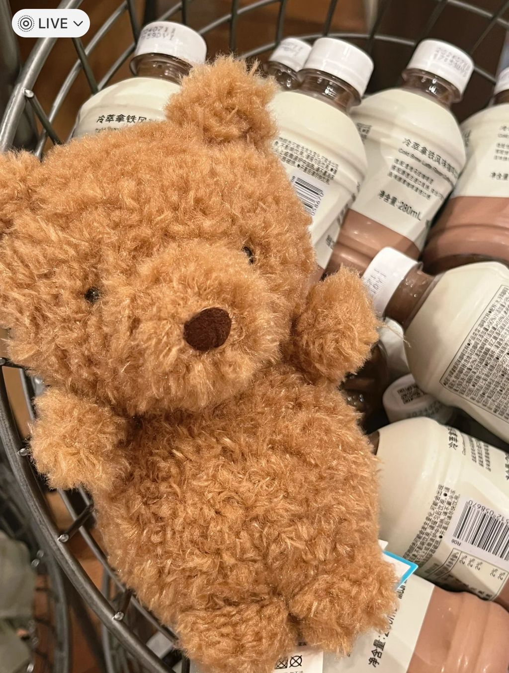 image_7AB5DF46-CD5B-4012-9E80-264BCB3DCF0D_1752328422