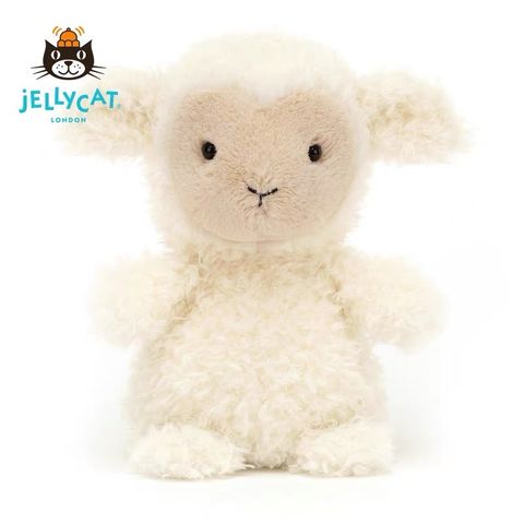 image_D16FE1F7-0350-4F21-863C-2CBF76DBDA11_1752330546