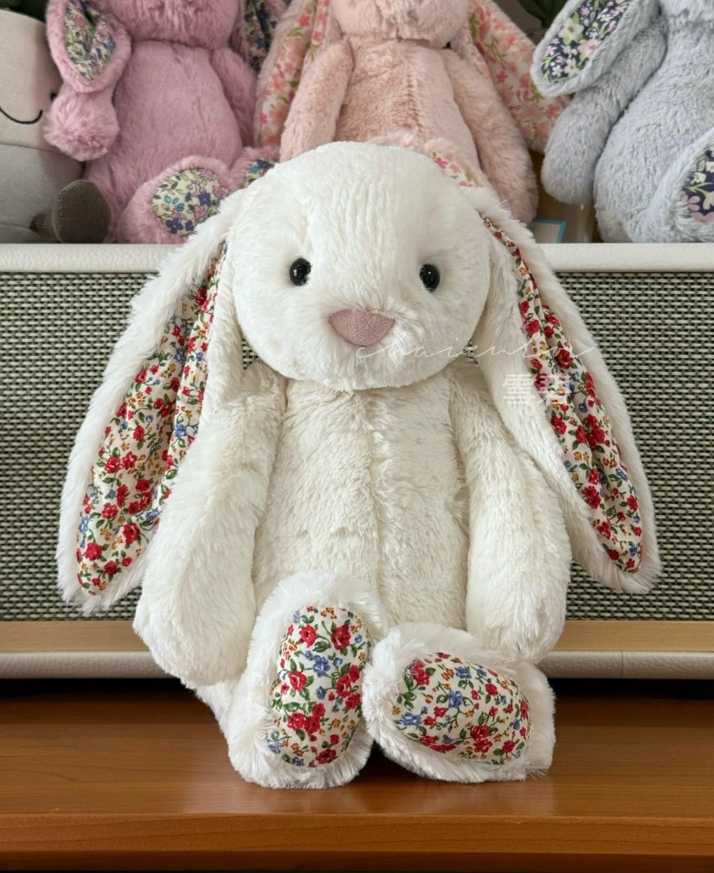 image_AA3A205C-1FB9-4C43-B3EC-E67E818023CD_1752410321