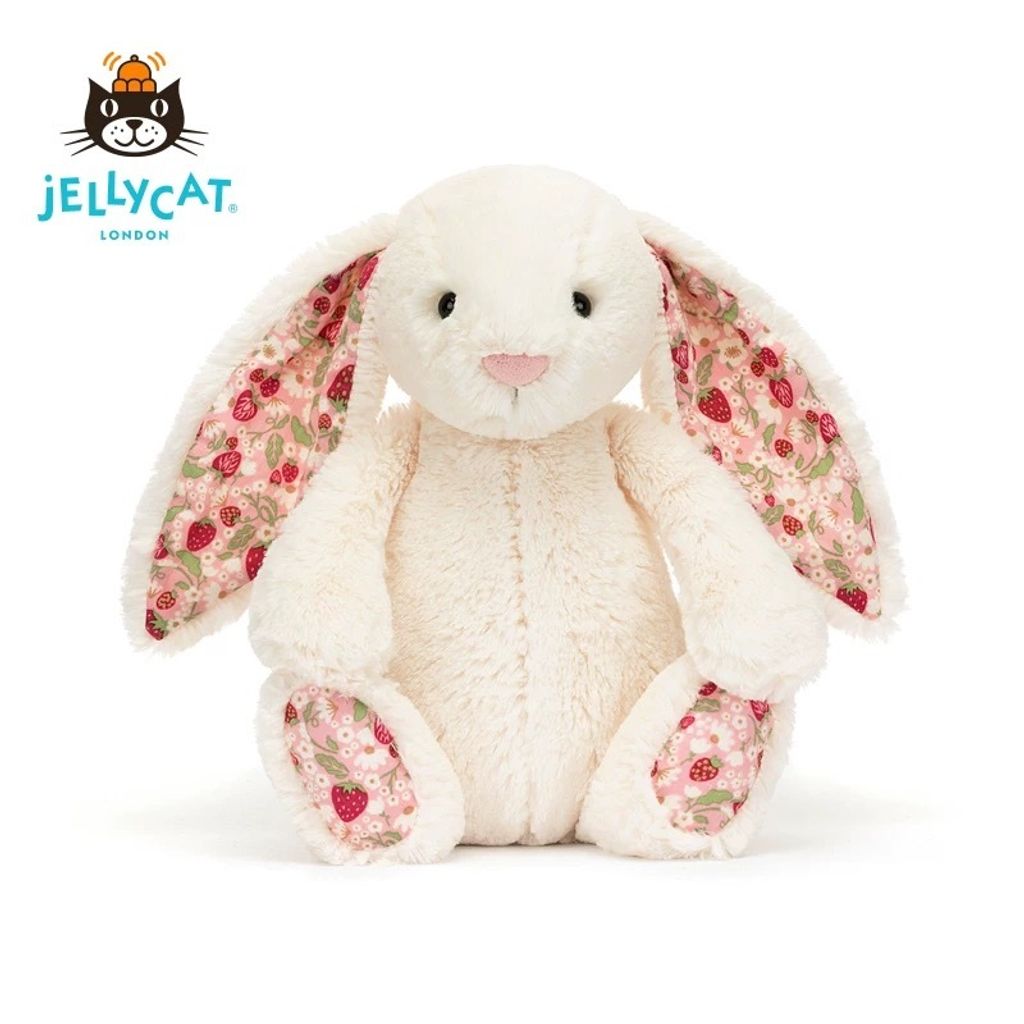 image_D9232581-3AB1-4266-88EB-AB1B82AC229E_1752410321