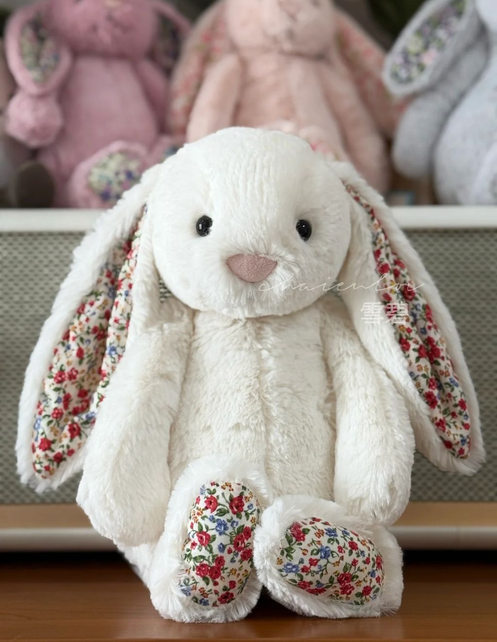 image_B6216199-182F-42CF-B931-A90A7DAD58BD_1752410321