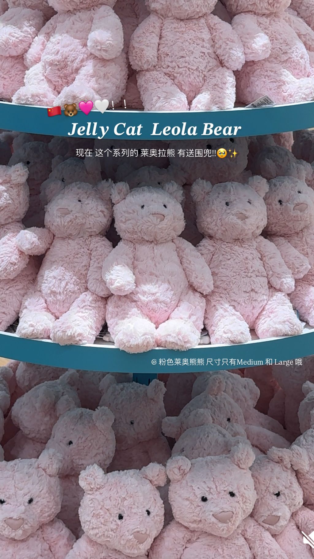 🇨🇳🐻𝐉𝐞𝐥𝐥𝐲 𝐂𝐚𝐭 𝐋𝐞𝐨𝐥𝐚 𝐁𝐞𝐚𝐫 莱奥熊熊