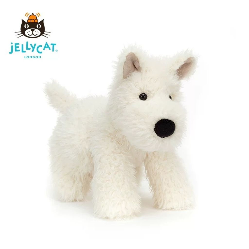 image_7B7B21C3-2275-440D-8EA2-0E3F21AAC1DE_1752504075