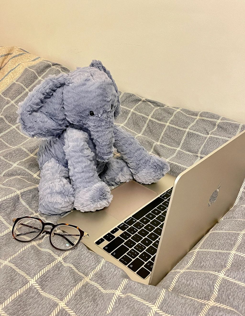 image_C99BB394-5A03-4AF1-8780-1FF63A4D846A_1752506029