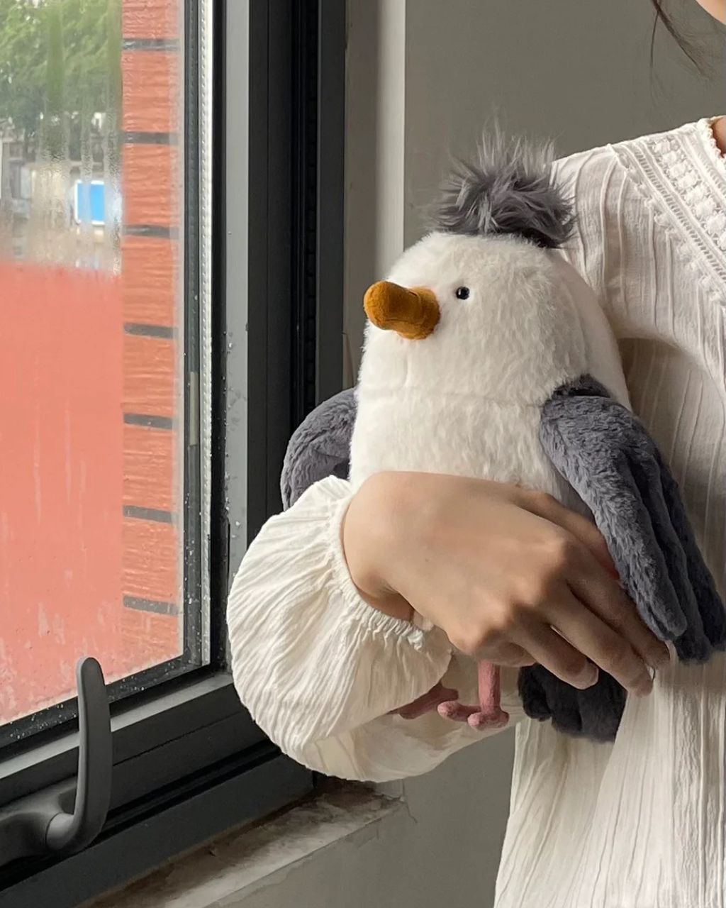 image_ADACA571-549D-424D-9EA9-E76F7759B770_1752506489