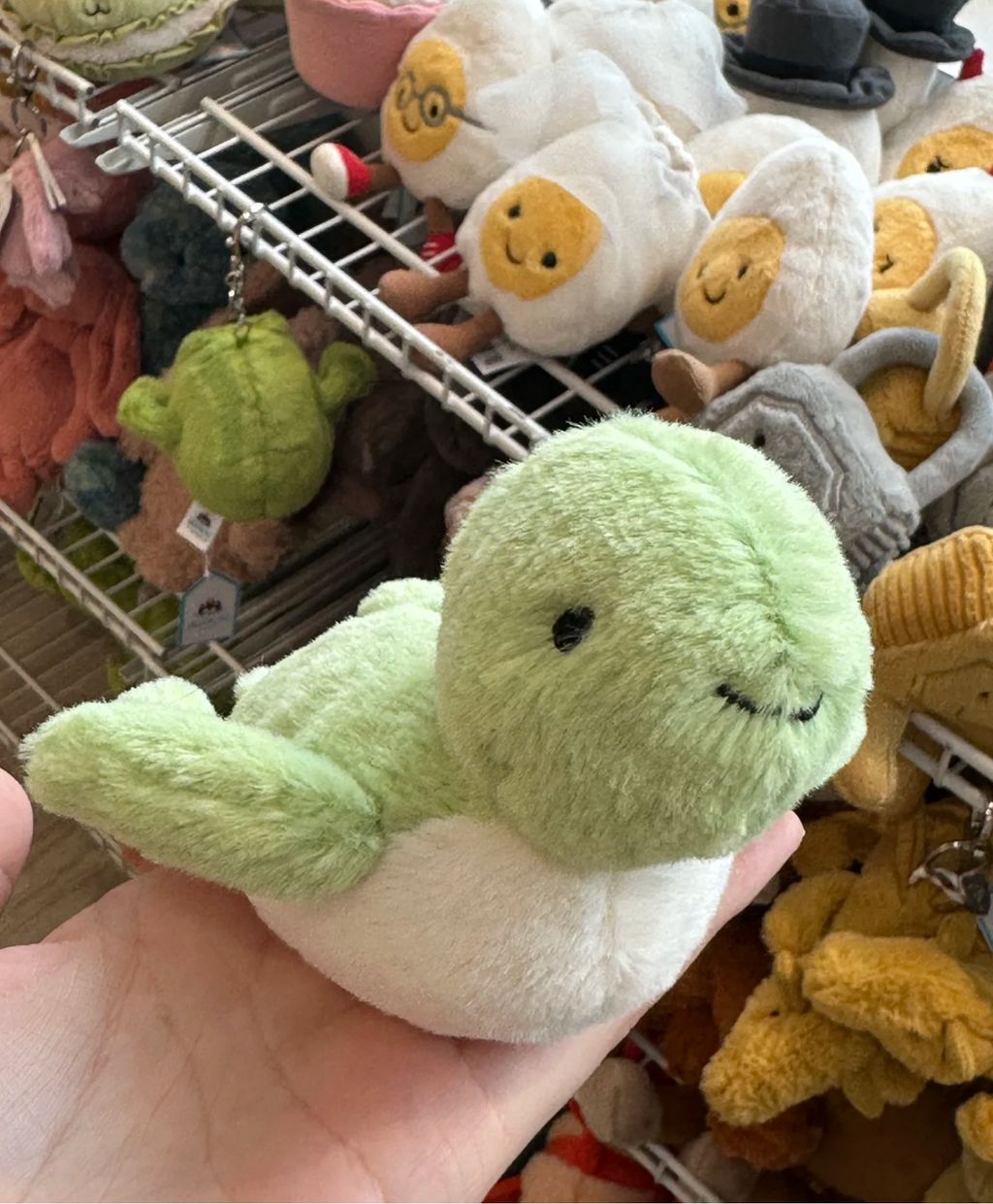 image_6FCDF7D4-879B-4BAA-B1CB-5652946D4D3B_1752506871