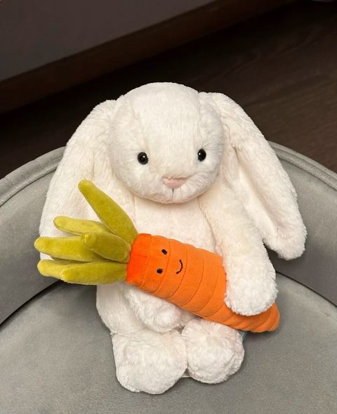 image_333C6C68-854C-4233-A1E6-BD486DD21031_1752508490