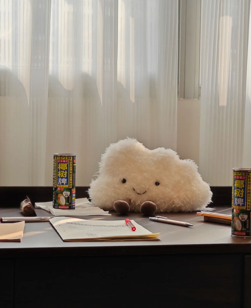 image_EA07A743-1235-482A-8ECA-759D84E0CA1D_1752508814