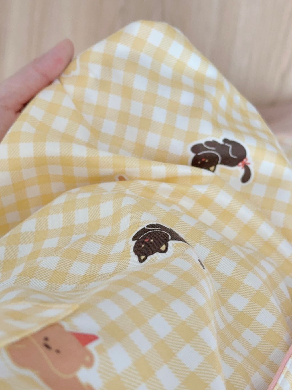 image_41A08BCD-9997-45C5-A4AD-8EE59A62A470_1758435153