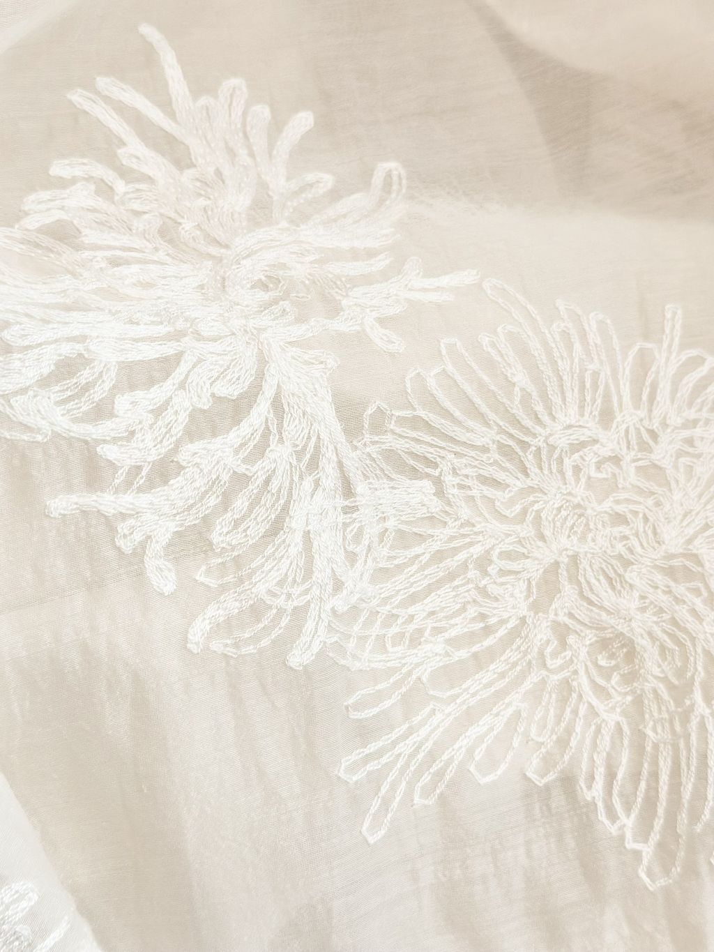 image_7D425050-1833-44A3-937D-41C5F2114328_1765950621