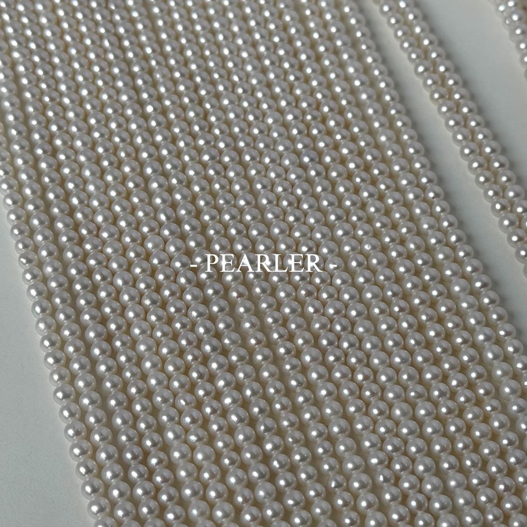 S__151355578_0
