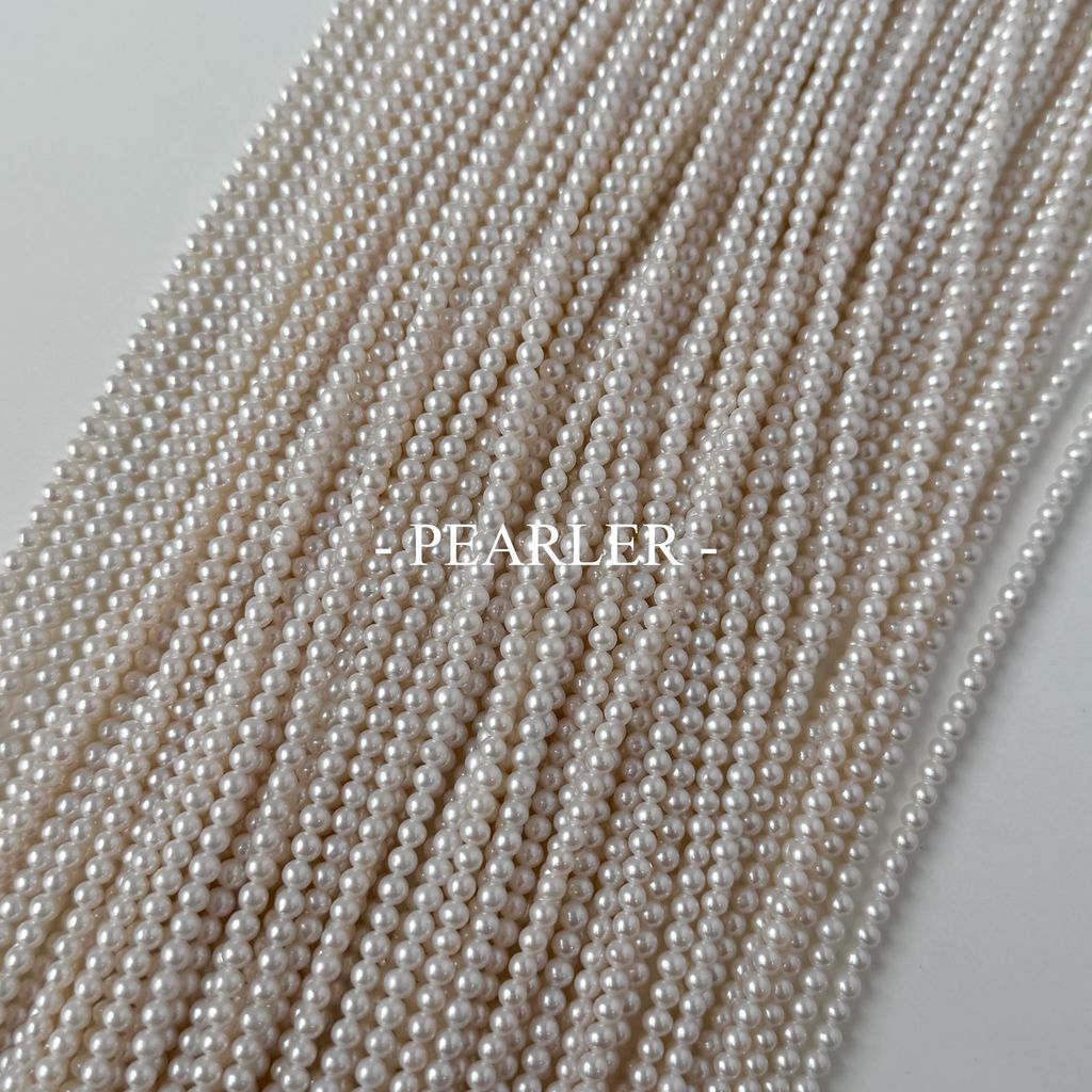 S__151355576_0