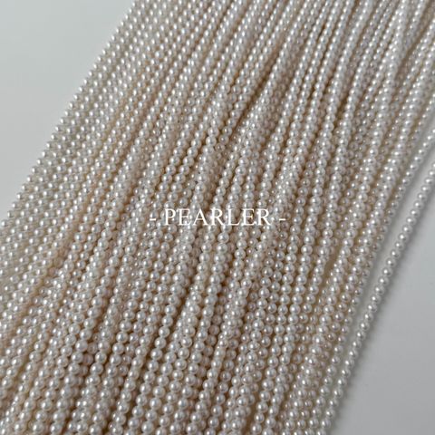 S__151355576_0