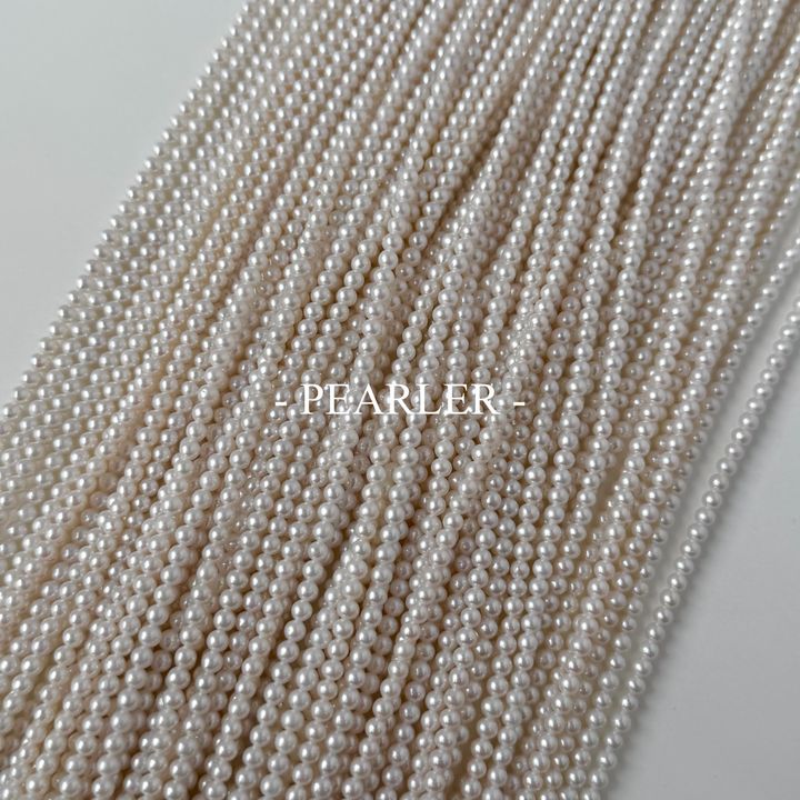 S__151355576_0