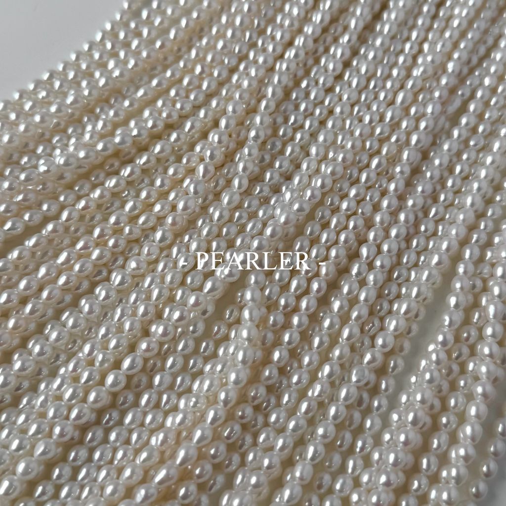 S__151371922_0