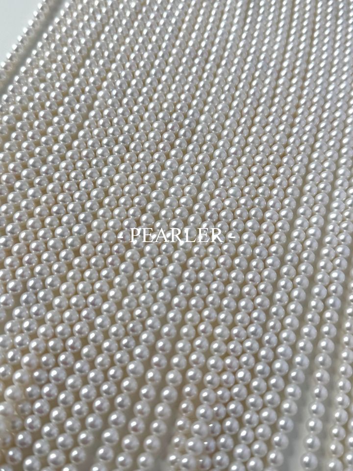 S__151388166_0
